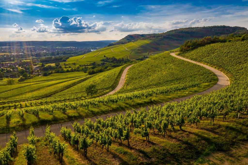 Route des vins