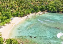 15 jours de vacances en solo au Sri Lanka avec Les Covoyageurs : Une aventure tropicale inoubliable