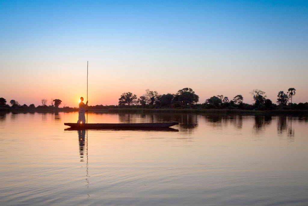 Pourquoi choisir l’agence Hors Pistes pour votre safari au Botswana ?