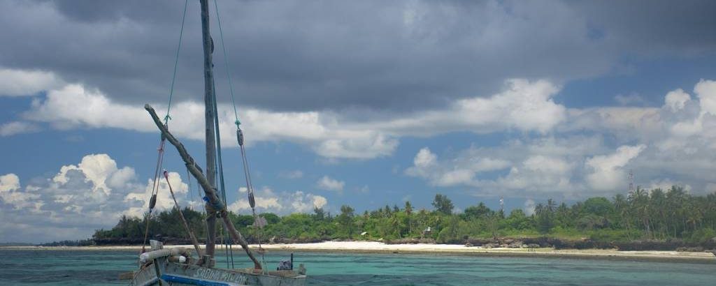 Circuit Tanzanie Zanzibar : un voyage entre safari et détente