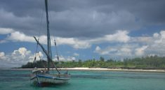 Circuit Tanzanie Zanzibar : un voyage entre safari et détente