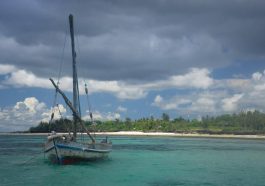 Circuit Tanzanie Zanzibar : un voyage entre safari et détente