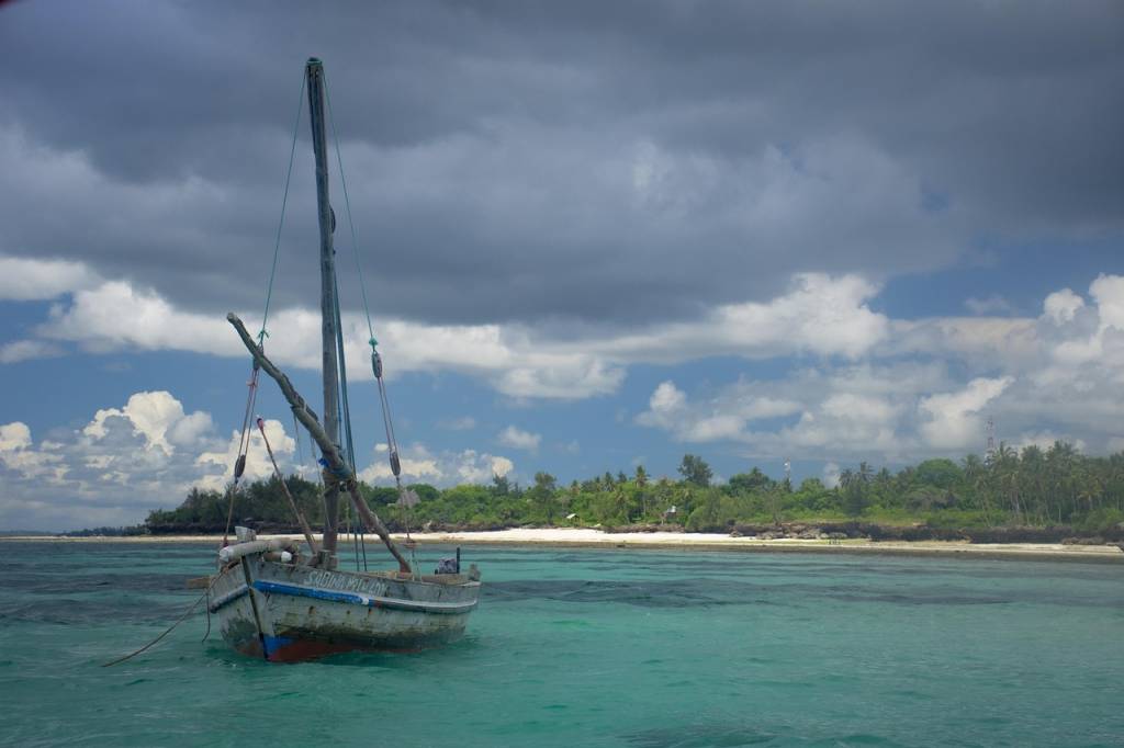 Circuit Tanzanie Zanzibar : un voyage entre safari et détente