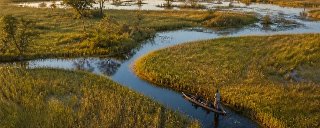 Hors pistes botswana : vivre l’aventure au cœur du delta de l’okavango