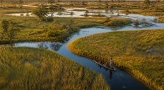 Hors pistes botswana : vivre l’aventure au cœur du delta de l’okavango